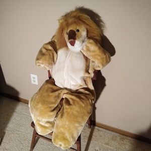 Lion costume for fun or Halloween